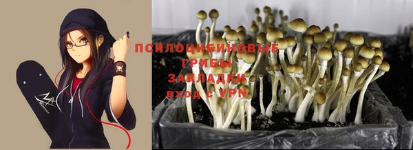 твердый Алексин