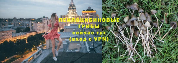 дживик Алексеевка