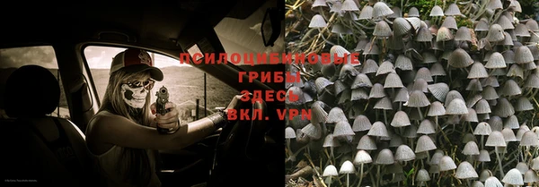 дживик Алексеевка